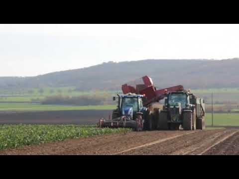 Rübenland Power - Fendt 924 FAVORIT Zwillingsreifen \u0026 Bodenbearbeitung - Aussaat 2020 Landwirtschaft