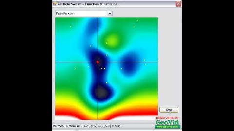 Particleswarm Optimization