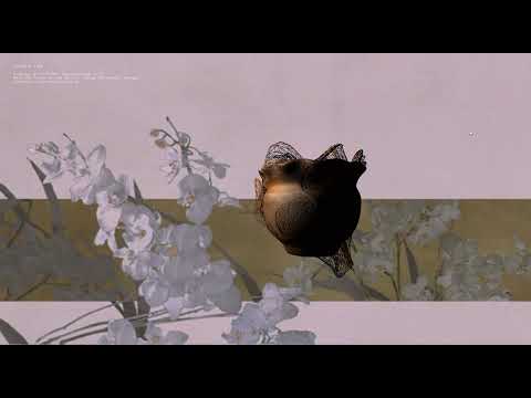 coding two-final project