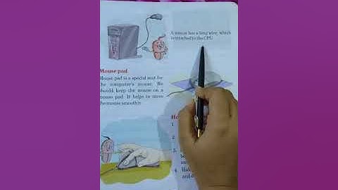 Class 1 Computer Lesson 4 Part 1