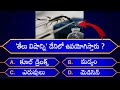 Interesting questions in teluguepisode19by rk thoughtsunknown factsgenera knowledgetelugu quiz