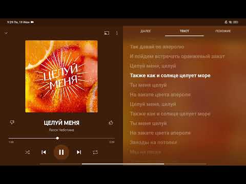 Караоке " Целуй меня " Люся Чеботина