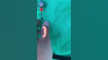 How to catch trout using powerbait (for beginners)