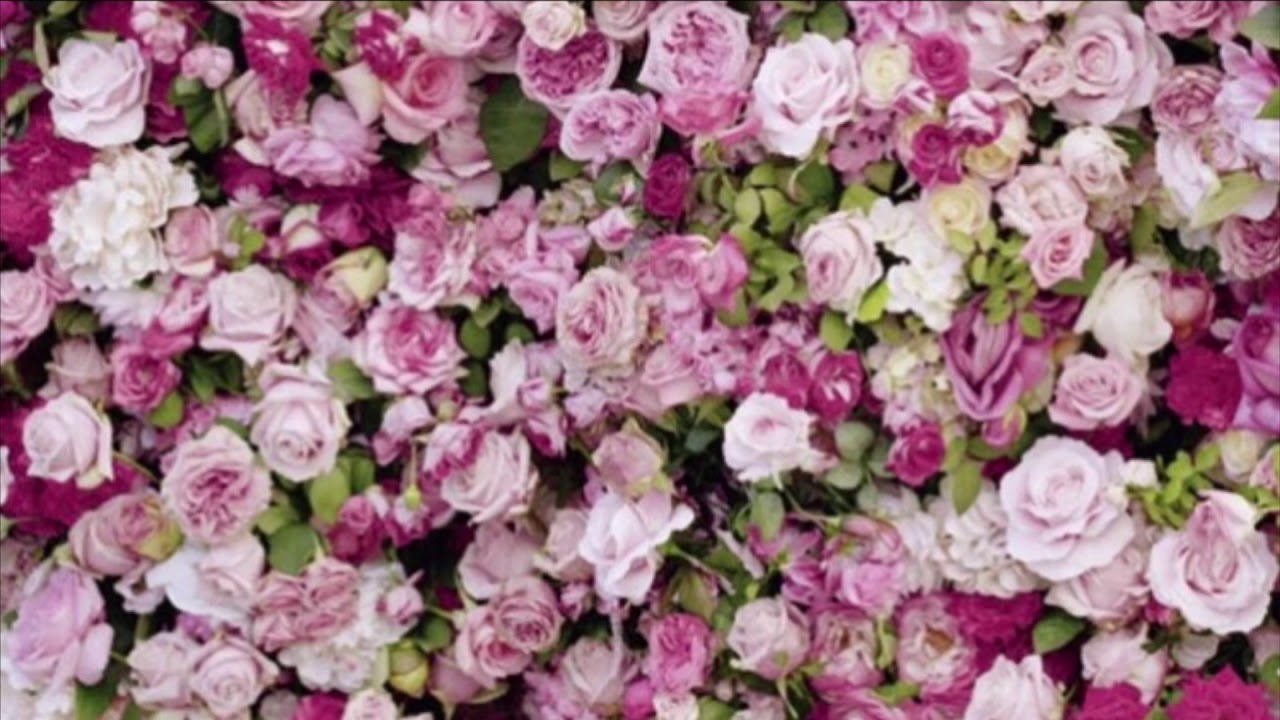 fresh air zayn (slowed) YouTube