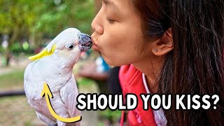 Should You Kiss Your Bird ? - Pet Parrot Kissing On The Lips | TheParrotTeacher