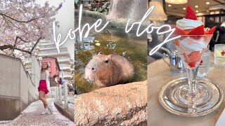 JAPAN DIARIES 🌸🍓🍡 kobe vlog