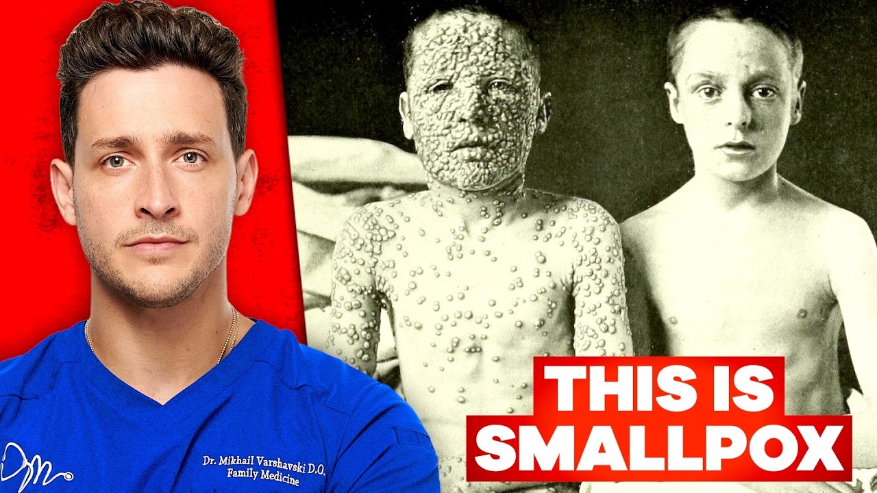 Animation/Motion graphics