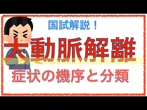 教科書をわかりやすく！「大動脈解離とは」症状の機序や分類を解説！