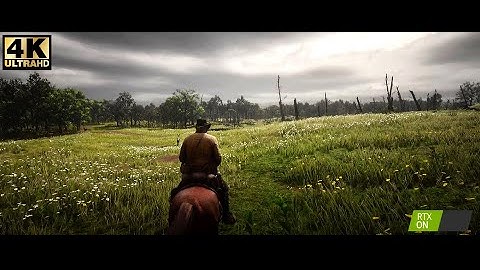 Red Dead Redemption 2 [PC] Cinematic Graphics Reshade MOD [4K]  Max Settings
