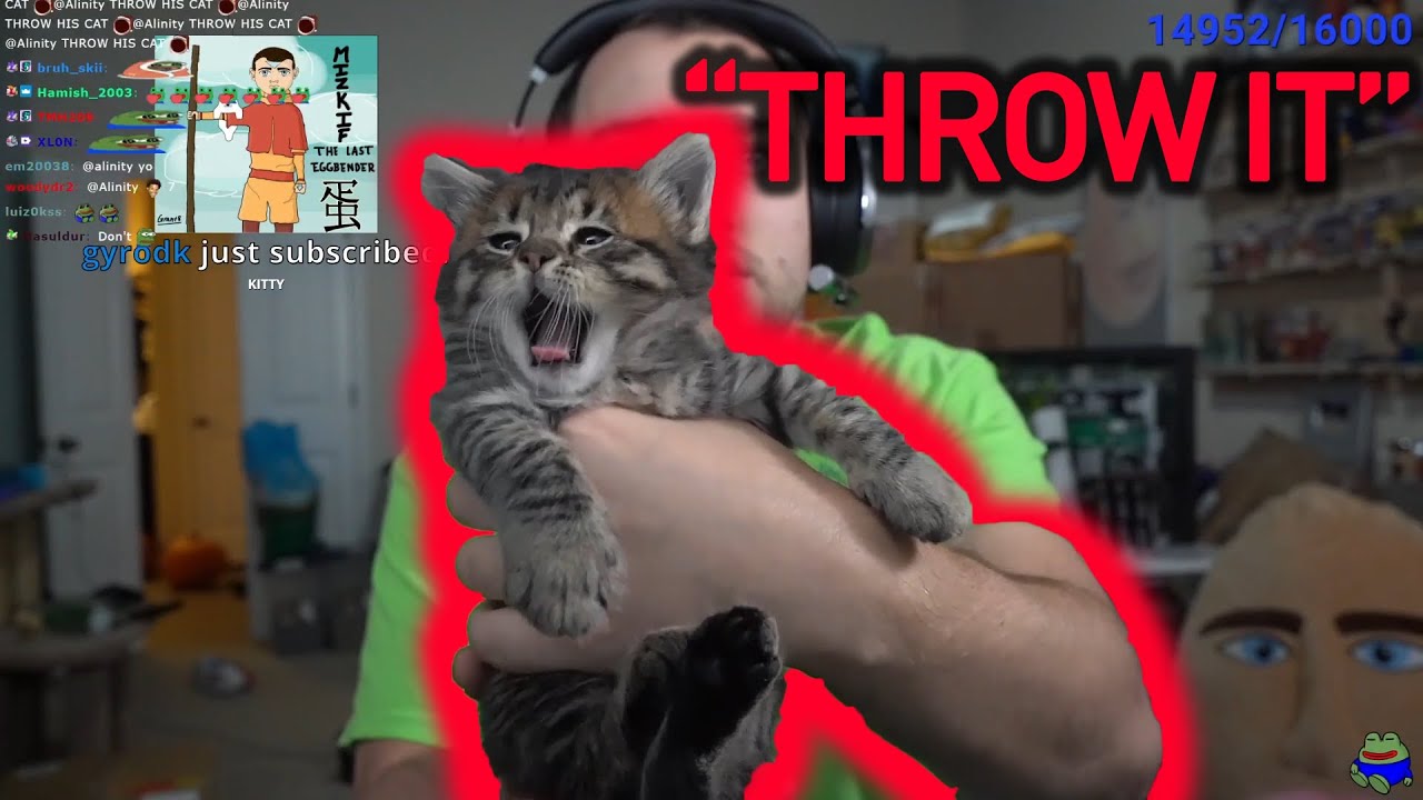 Alinity tells Mizkif to THROW HIS CAT