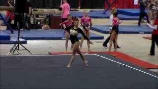 2017 Level 10 Buckeye Classic Age 17