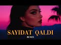 Haneen Elshater Sayidat Qaldi Elyxo Remix 