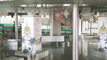 coconut juice boxes filling packaging equipment bottle in box filler máquina de llenado de jugo coco