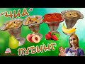 ЧИА Пудинг - Вкусный и полезный Десерт от Тортоняшка