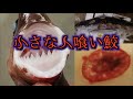 【グロ注意】肉をえぐり取って食べるタイプの人喰い鮫が色々と恐すぎる！？【ダルマザメ】