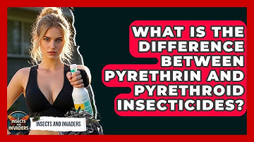 What Is The Difference Between Pyrethrin And Pyrethroid Insecticides? - Insects and Invaders