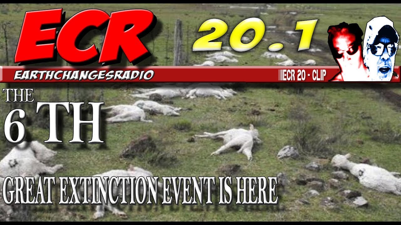 ECR 20 1 The 6th Extinction Event ALREADY UNDERWAY YouTube Ecr 20 1 the 6th extinction event already underway youtube