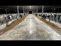 Mooove in day!