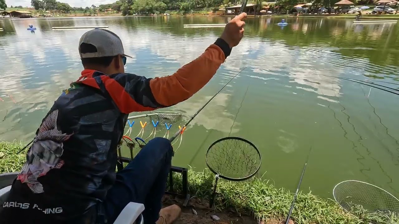 MUITAS TILAPINHA ATRAPALHANDO, MAIS ESSA MASSA SÓ CHAMA AS TILÁPIAS MAIORES - PESCARIA DE TILÁPIA