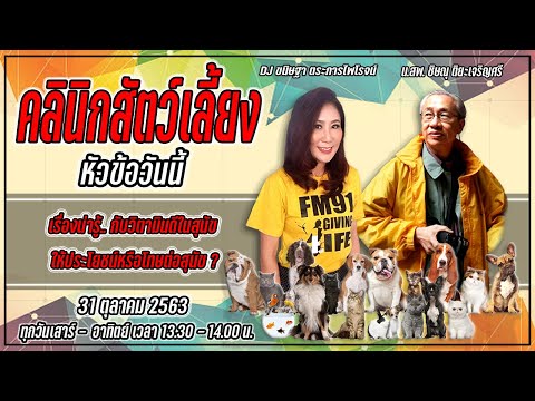 เรื่องน่ารู้กับวิตามินดีในสุนัขให้ประโยชน์หรือโทษ : FM91 คลินิกสัตว์เลี้ยง : 31 ตุลาคม 2563