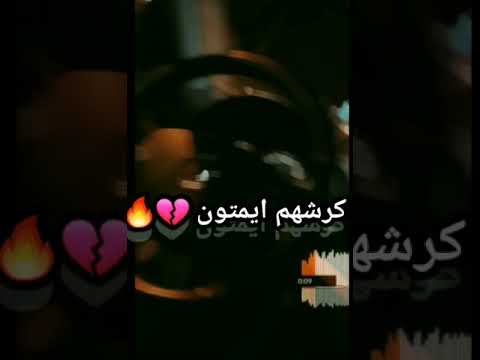 عشرتهم فالصو عشرتهم فالسو عشرتهم فالسو ايحبون الكميرا ديرلو تصويره
