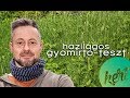 Házilagos gyomirtó-teszt