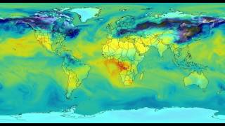 Celebrity CO2 360 VR Data Visualization Profile