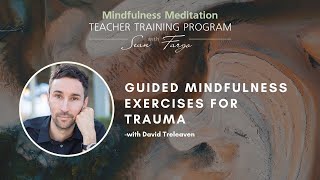 Celebrity Guided Mindfulness Exercises for Trauma with David Treleaven Net Worth