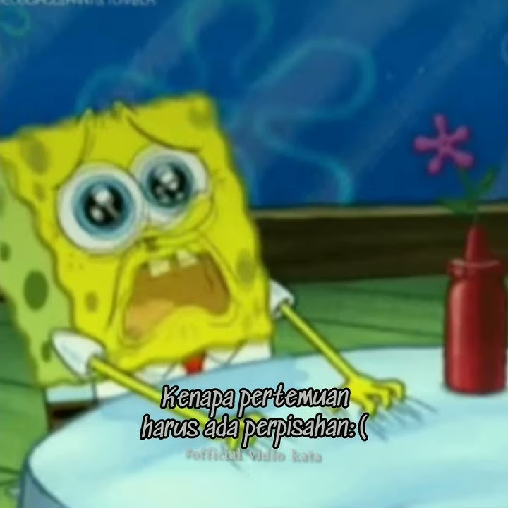 Story wa spongebob kenapa pertemuan harus ada perpisahan sedih