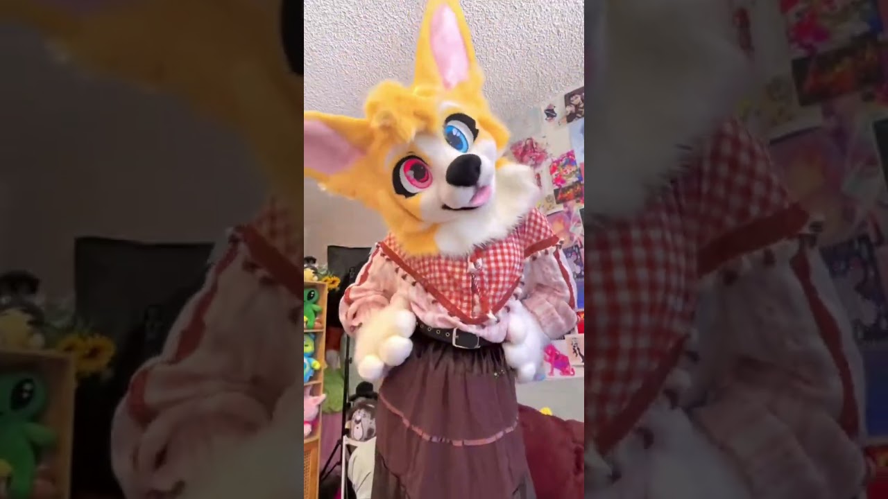 Corgi Comm Fursuit!