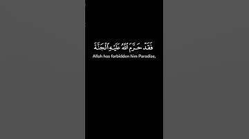 ( لقد كفر الذين قالوا ان الله هو المسيح ابن مريم )  تلاوة: فارس عباد |  كرومات سوداء القرآن الكريم