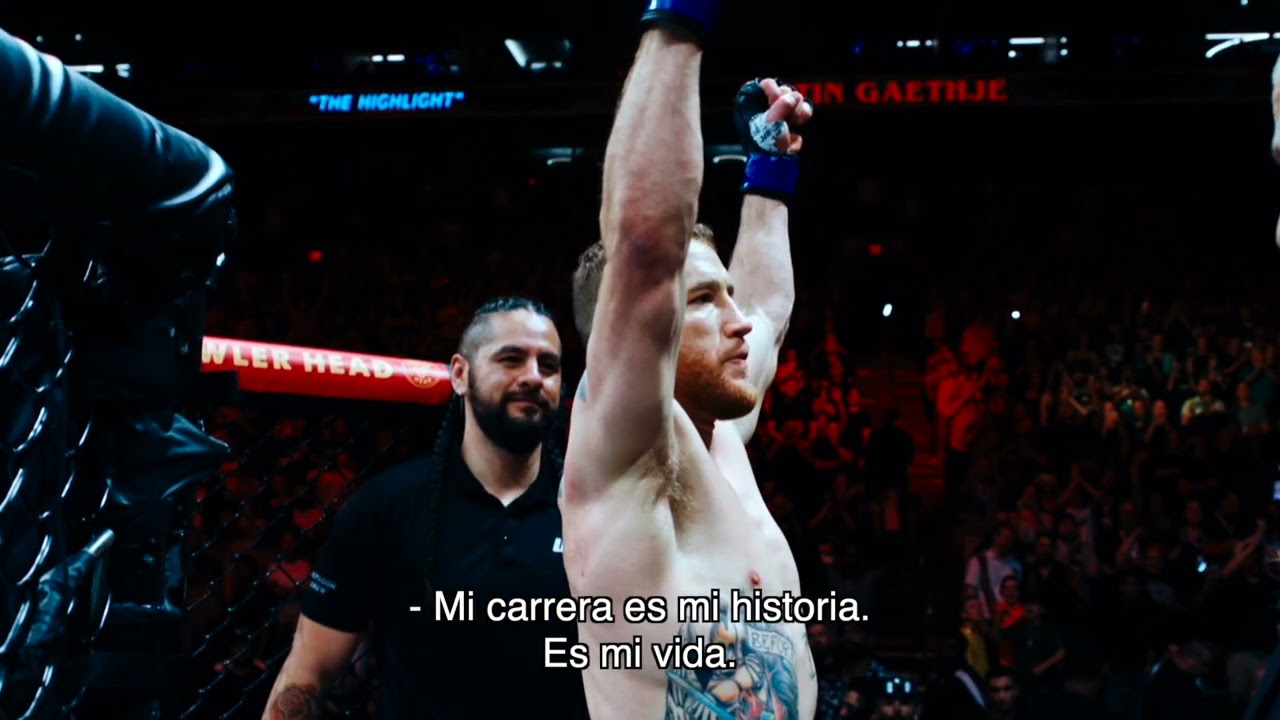 #UFC291