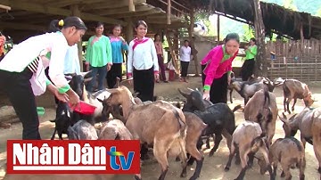 Lào Cai: Hiệu quả trong công tác giảm nghèo bền vững