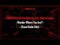 Tiësto Armin Van Buuren Pres Major League Wonder Where You Are Vocal Radio Edit mp3