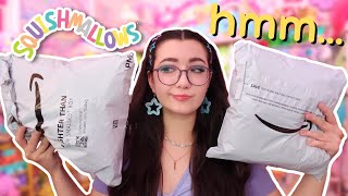 I bought a HIGHLY SUS Squishmallow mystery box