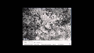 Damage-tolerant nanotwinned metals with nanovoids under radiation environments