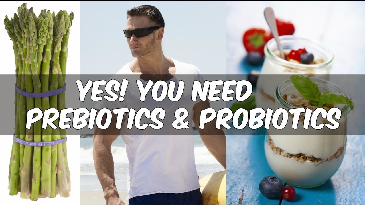 Lose weight with probiotic bacteria recommend Lose weight with probiotic bacteria forecast