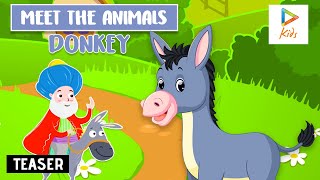 Meet The Animals - DONKEY Teaser | Meet The Animals | Download The Hungama Kids App Now