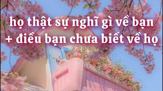 HỌ THẬT SỰ NGHĨ GÌ VỀ BẠN + NHỮNG ĐIỀU BẠN MÀ CHƯA BIẾT VỀ HỌ, CHƯA TỪNG NGHE VỀ HỌ 🥰