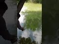 Village Fishing Tadipatri Full Video In Description Sharan Indian Entertainment Viralvideo 