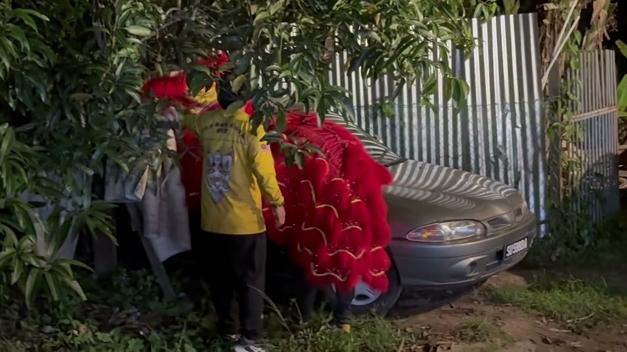 Lion dance | 21.02.2026