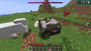 Peaks & Valleys UHC S19 E1 - "Calamity S16 or Smth"