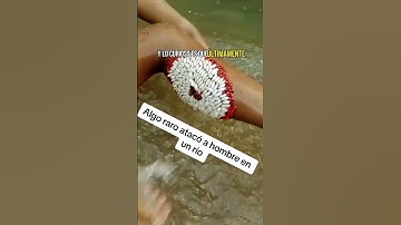 Thumbnail of El ataque de las Legumbres MARINAS!!