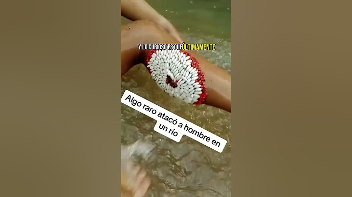El ataque de las Legumbres MARINAS!!