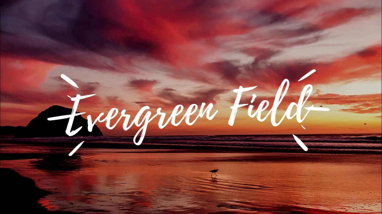 Evergreen Fields Tape Machines YouTube