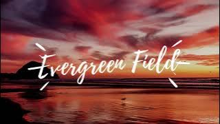 Evergreen Fields - Tape Machines