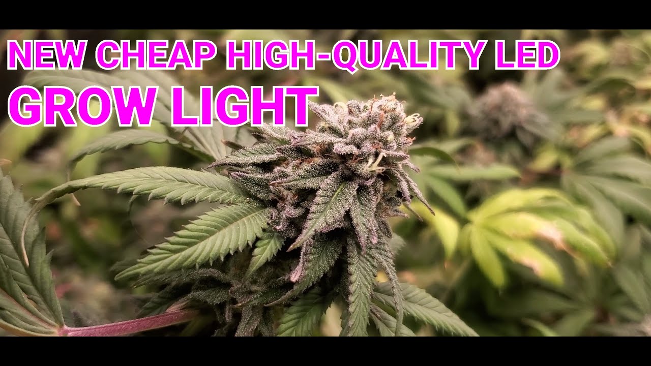 GROW TIPS: CHEAP NEW HIGH QUALITY LED GROW LIGHT UPGRADE AOSBEIC 300w PERFECT 2X4 (PHOTOPERIODS)