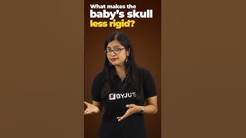 Mystery of Missing Bones #humanbodyshorts #biology #ytshorts #byjus