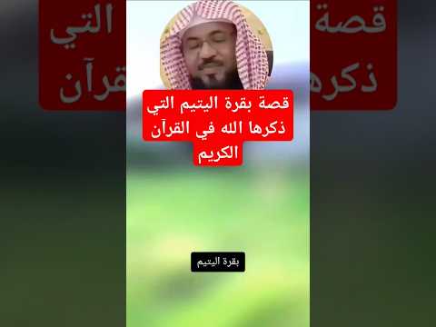 قصة بقرة اليتيم التي ذكرها الله في القرآن الكريم 