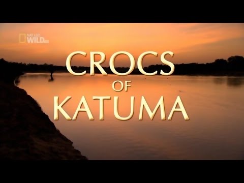 Крокодилы Катумы
